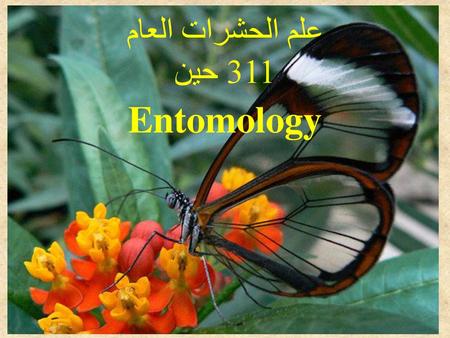علم الحشرات العام 311 حين Entomology.