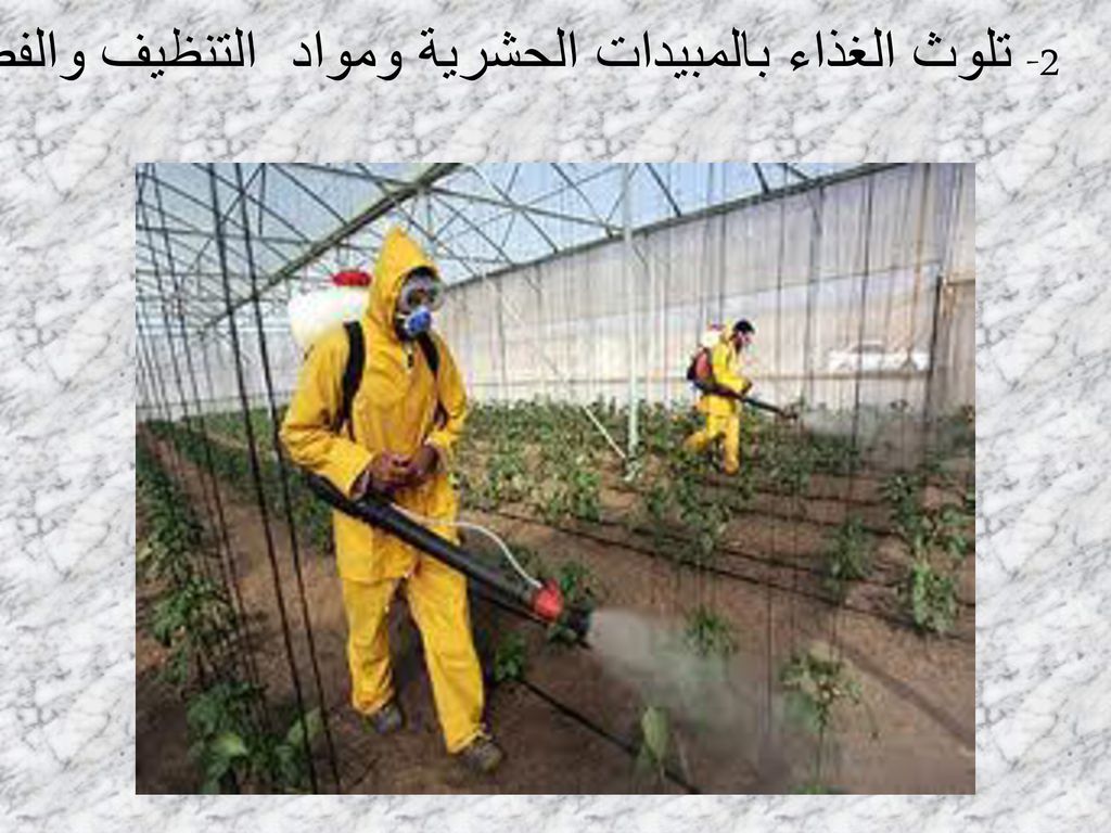 2- تلوث الغذاء بالمبيدات الحشرية ومواد التنظيف والفضلات