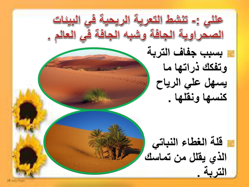عللي :- تنشط التعرية الريحية في البيئات الصحراوية الجافة وشبه الجافة في العالم .