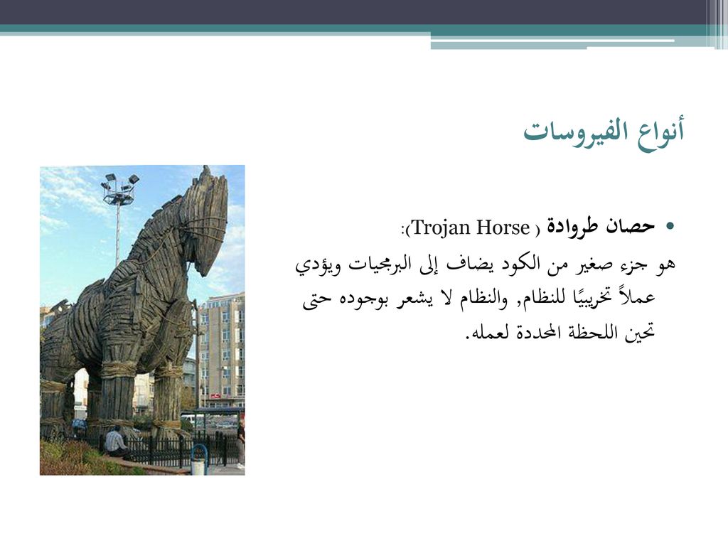 أنواع الفيروسات حصان طروادة (Trojan Horse ):