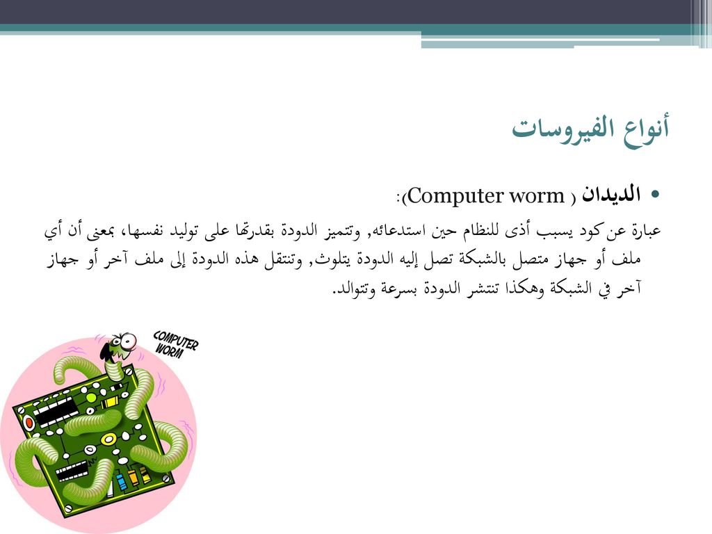 أنواع الفيروسات الديدان (Computer worm ):