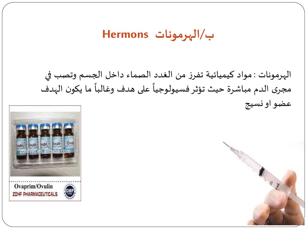 ب/الهرمونات Hermons