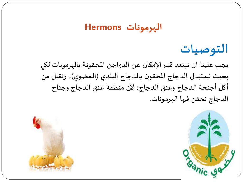 التوصيات الهرمونات Hermons