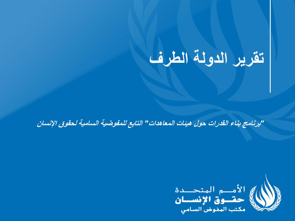 تقرير الدولة الطرف برنامج بناء القدرات حول هيئات المعاهدات التابع للمفوضية السامية لحقوق الإنسان