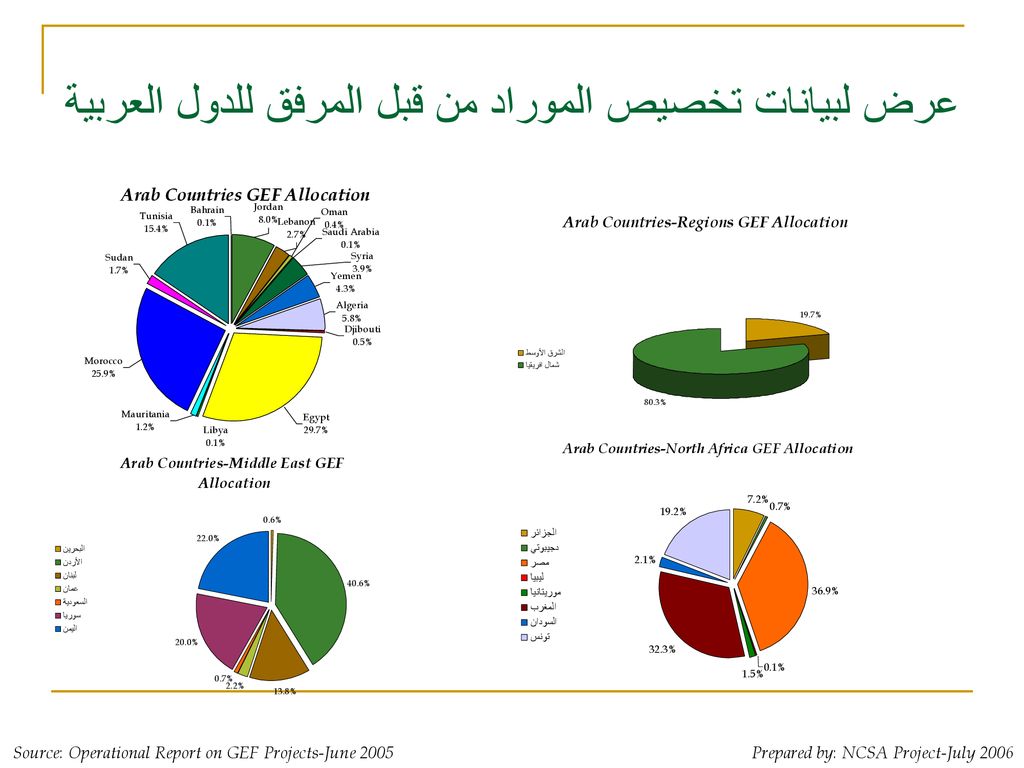 عرض لبيانات تخصيص الموراد من قبل المرفق للدول العربية