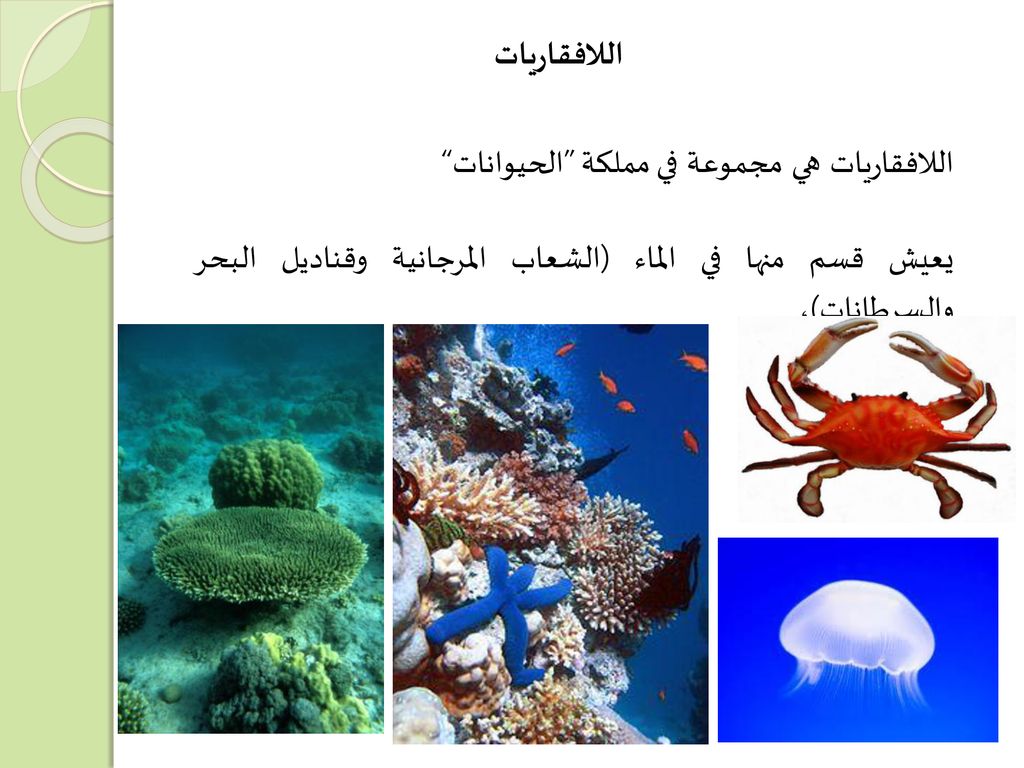 اللافقاريات اللافقاريات هي مجموعة في مملكة الحيوانات يعيش قسم منها في الماء (الشعاب المرجانية وقناديل البحر والسرطانات)،