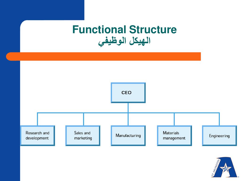 Functional Structure الهيكل الوظيفي