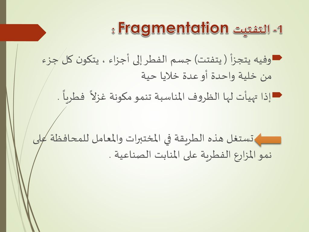 1- التفتيت Fragmentation :