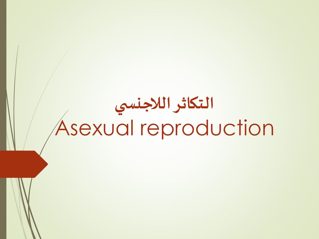 التكاثر اللاجنسي Asexual reproduction