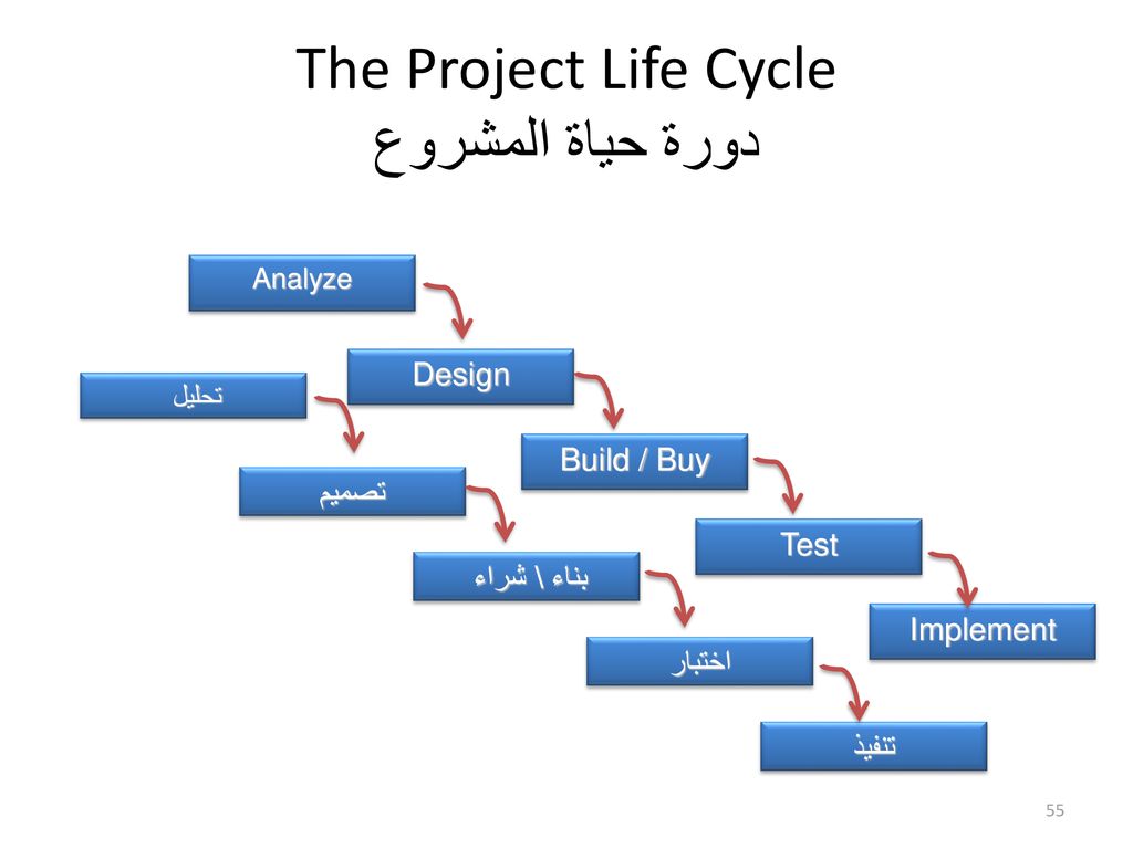 The Project Life Cycle دورة حياة المشروع