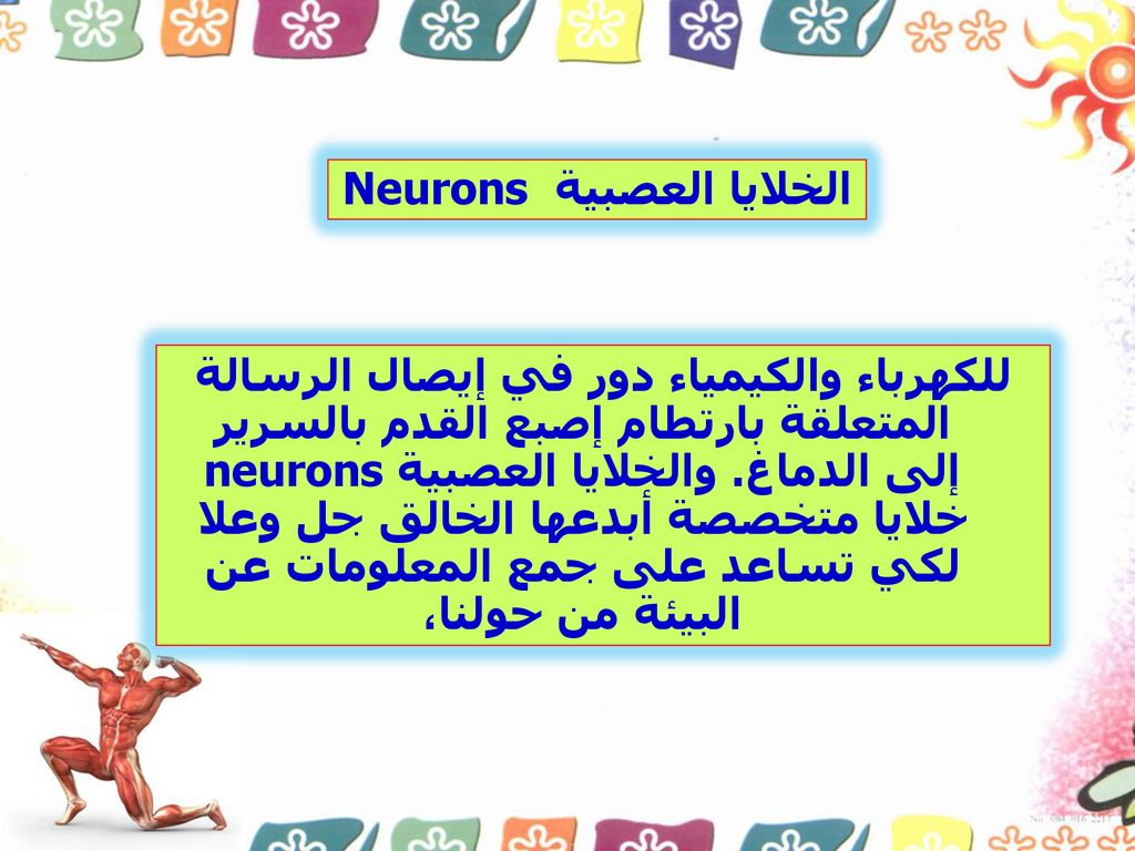 الخلايا العصبية Neurons