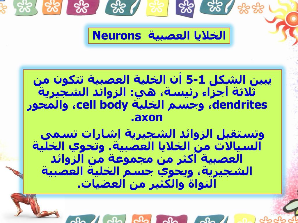 الخلايا العصبية Neurons