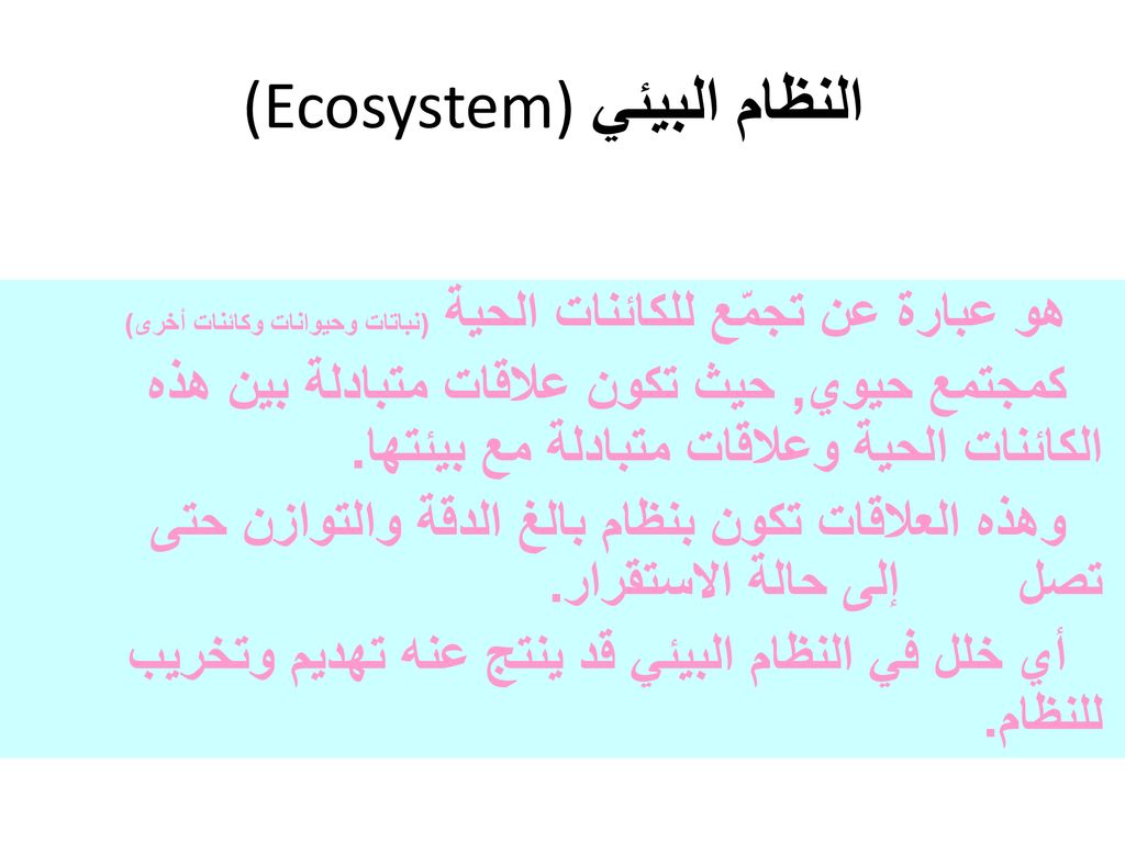 النظام البيئي (Ecosystem)