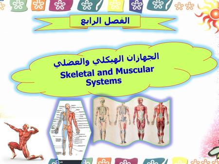 الجهازان الهيكلي والعضلي Skeletal and Muscular Systems