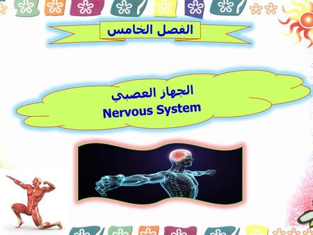 الفصل الخامس الجهاز العصبي Nervous System.