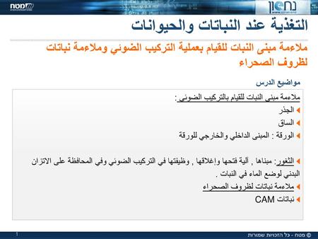 التغذية عند النباتات والحيوانات
