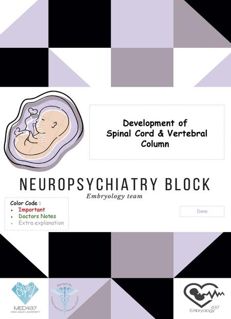 Spinal Cord & Vertebral Column