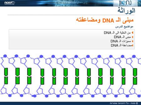 الوراثة مبنى الـ DNA ومضاعفته من الخلية الى الـ DNA مواضيع الدرس
