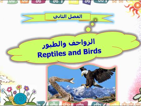 الزواحف والطيور Reptiles and Birds