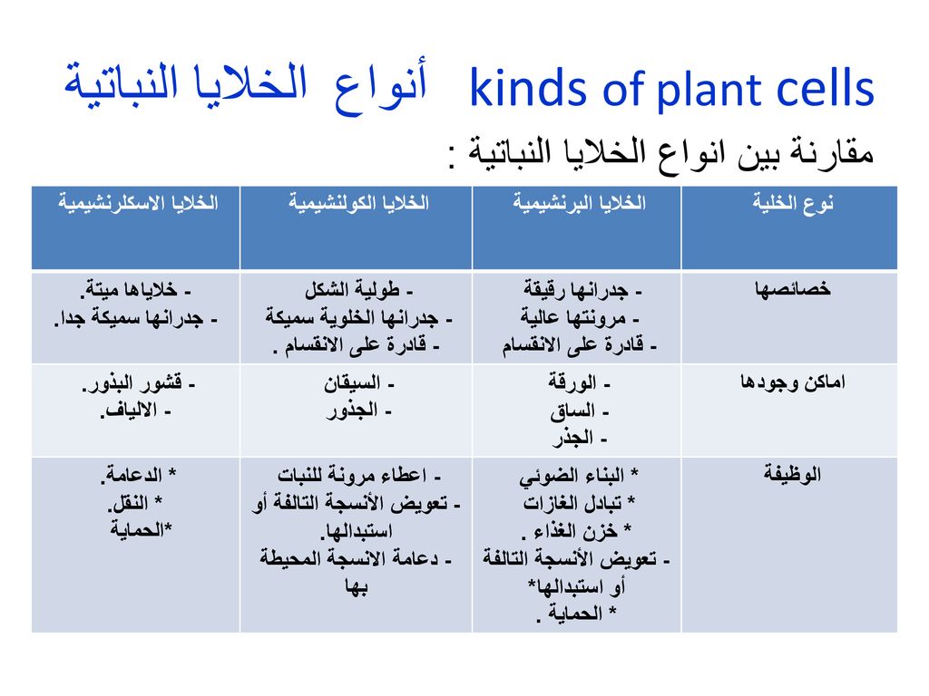 الخلايا النباتية أنواع kinds of plant cells