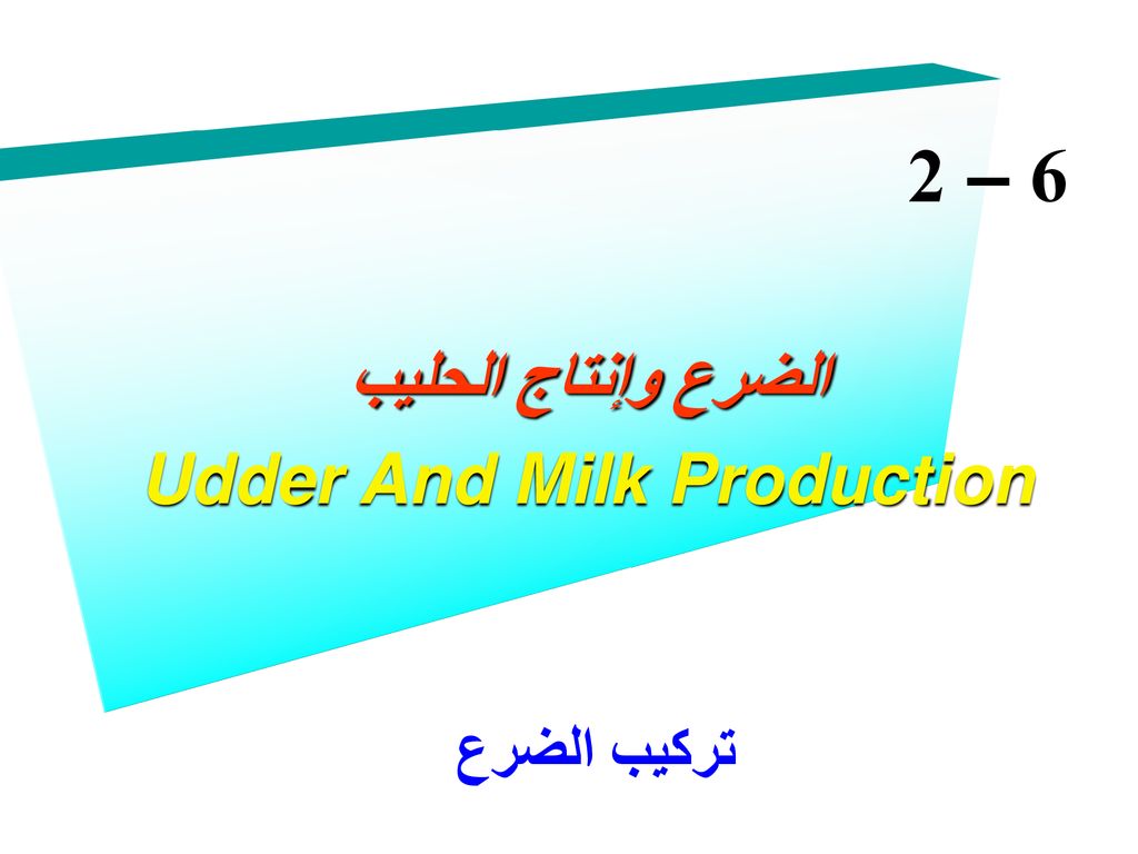 Udder And Milk Production