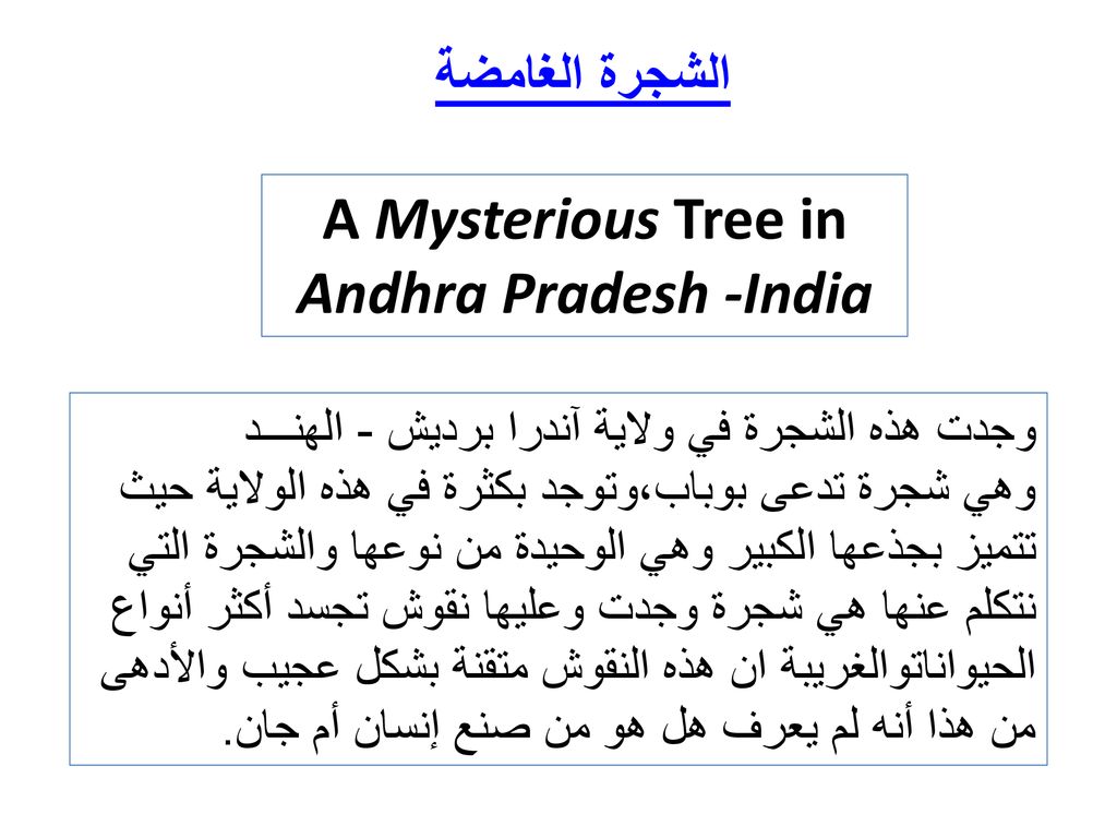 A Mysterious Tree in Andhra Pradesh -India