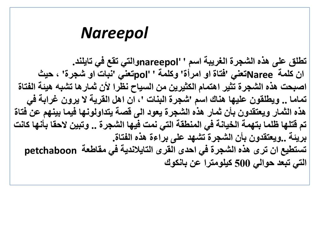Nareepol تطلق على هذه الشجرة الغريبة اسم nareepol والتي تقع في تايلند.