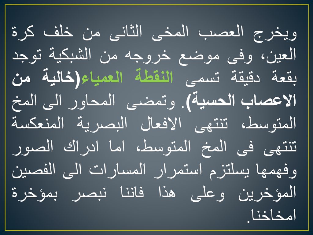 ويخرج العصب المخى الثانى من خلف كرة العين، وفى موضع خروجه من الشبكية توجد بقعة دقيقة تسمى النقطة العمياء(خالية من الاعصاب الحسية).