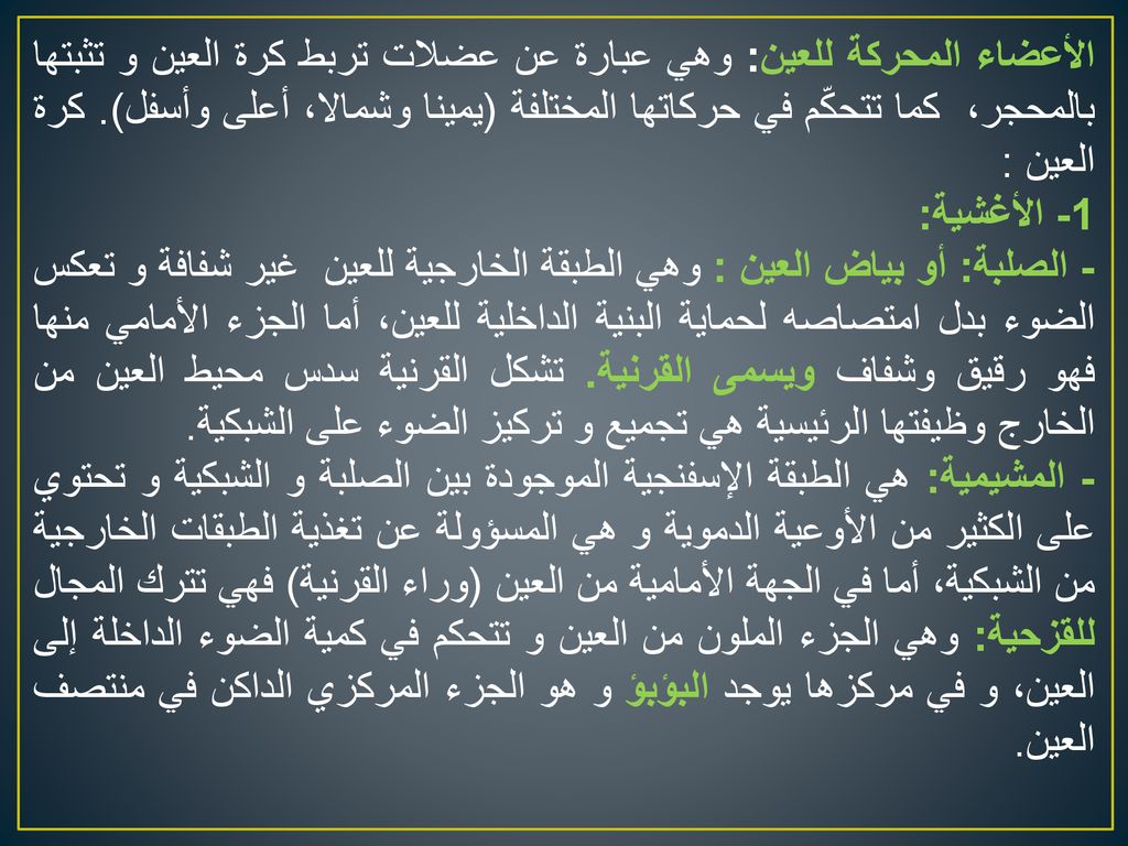 الأعضاء المحركة للعين: وهي عبارة عن عضلات تربط كرة العين و تثبتها بالمحجر، كما تتحكّم في حركاتها المختلفة (يمينا وشمالا، أعلى وأسفل). كرة العين :