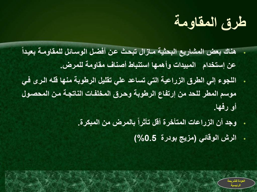 طرق المقاومة هناك بعض المشاريع البحثية مازال تبحث عن أفضل الوسائل للمقاومة بعيداً عن إستخدام المبيدات وأهمها استنباط أصناف مقاومة للمرض.