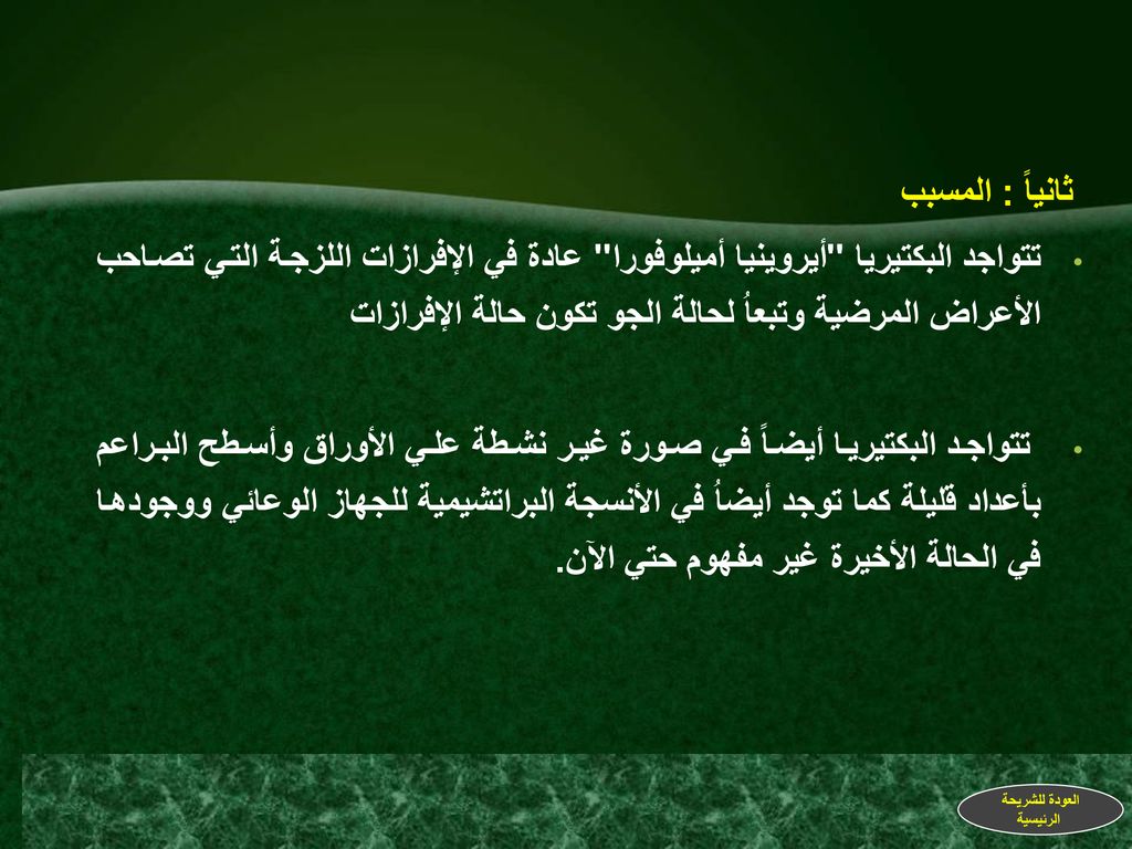 ثانياً : المسبب تتواجد البكتيريا أيروينيا أميلوفورا عادة في الإفرازات اللزجة التي تصاحب الأعراض المرضية وتبعاُ لحالة الجو تكون حالة الإفرازات.