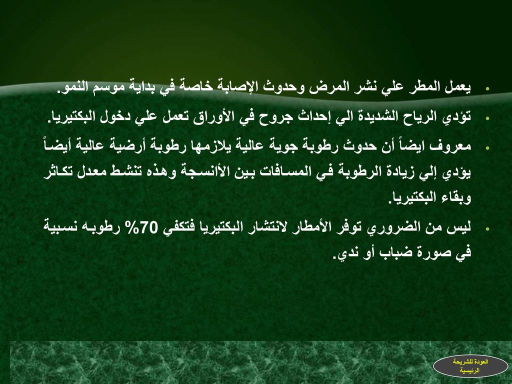 يعمل المطر علي نشر المرض وحدوث الإصابة خاصة في بداية موسم النمو.