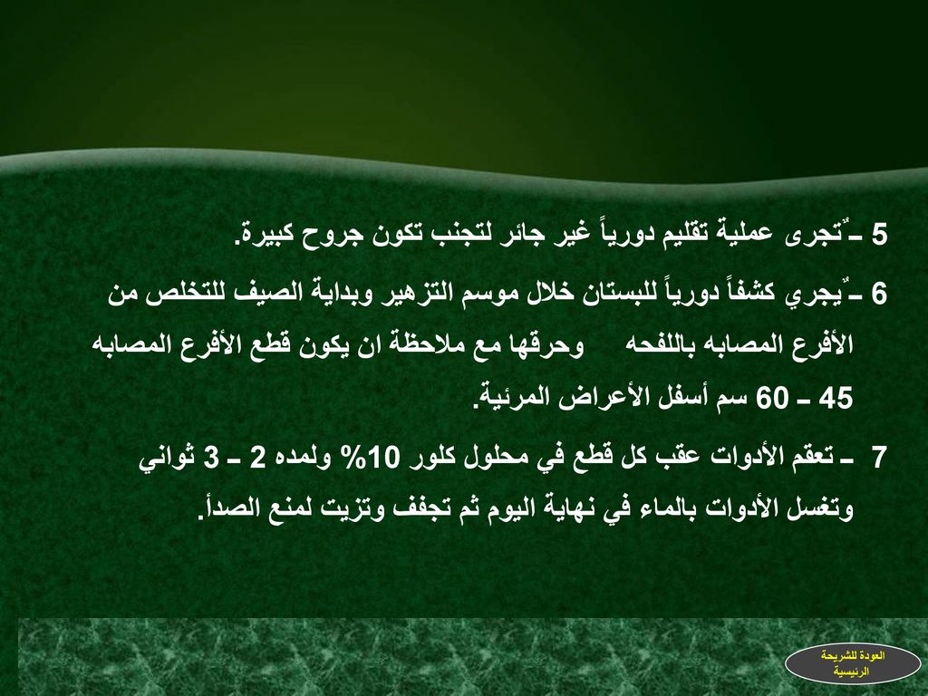 5 ــ ٌتجرى عملية تقليم دورياً غير جائر لتجنب تكون جروح كبيرة.