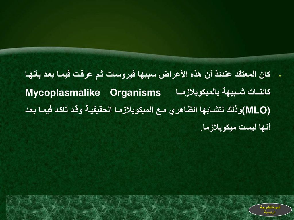 كان المعتقد عندئذ أن هذه الأعراض سببها فيروسات ثم عرفت فيما بعد بأنها كائنات شبيهة بالميكوبلازما Mycoplasmalike Organisms (MLO)وذلك لتشابها الظاهري مع الميكوبلازما الحقيقية وقد تأكد فيما بعد أنها ليست ميكوبلازما.