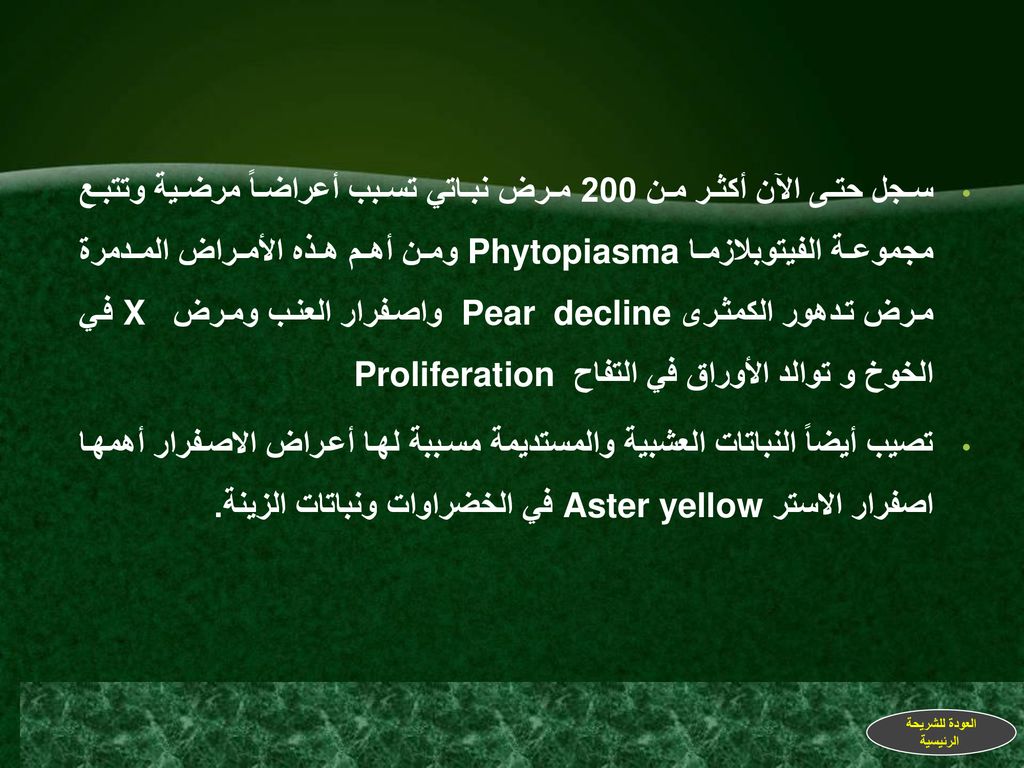سجل حتى الآن أكثر من 200 مرض نباتي تسبب أعراضاً مرضية وتتبع مجموعة الفيتوبلازما Phytopiasma ومن أهم هذه الأمراض المدمرة مرض تدهور الكمثرى Pear decline واصفرار العنب ومرض X في الخوخ و توالد الأوراق في التفاح Proliferation