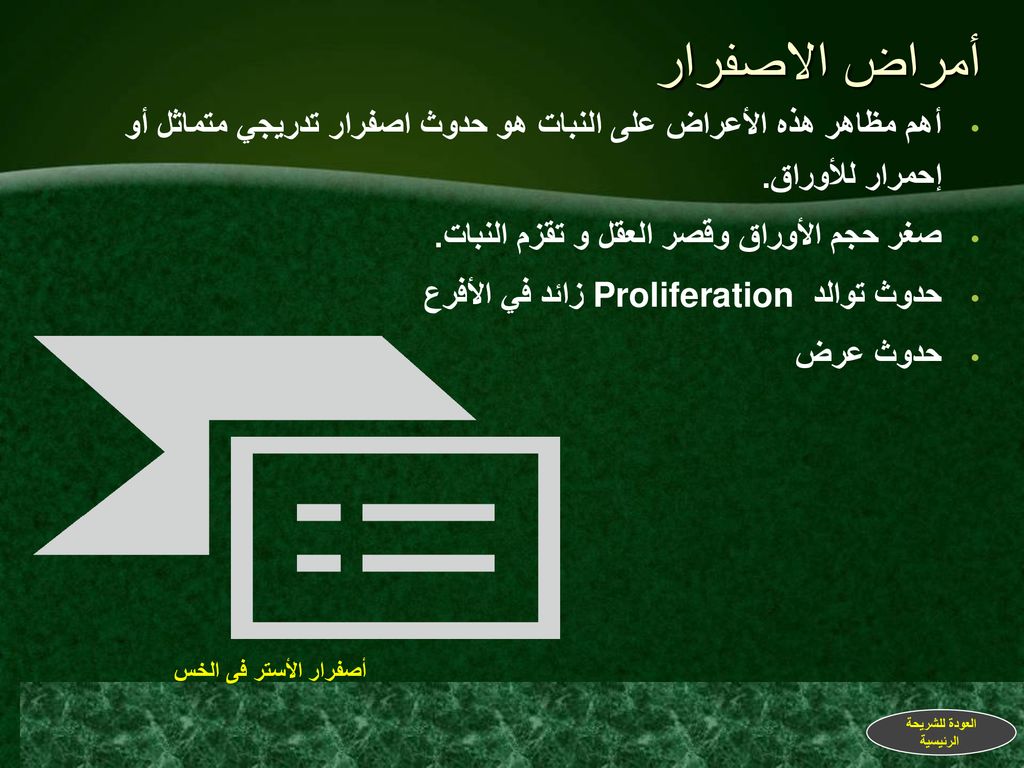 أمراض الاصفرار أهم مظاهر هذه الأعراض على النبات هو حدوث اصفرار تدريجي متماثل أو إحمرار للأوراق. صغر حجم الأوراق وقصر العقل و تقزم النبات.