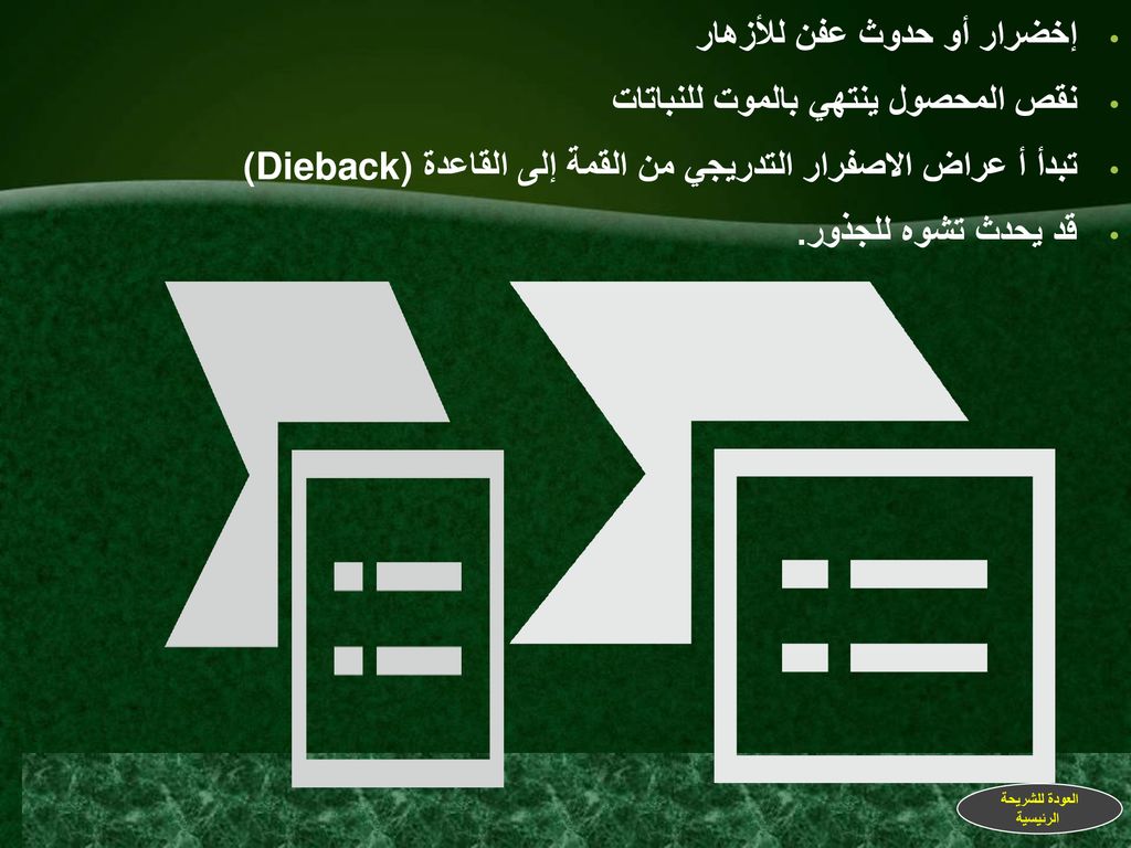 إخضرار أو حدوث عفن للأزهار نقص المحصول ينتهي بالموت للنباتات