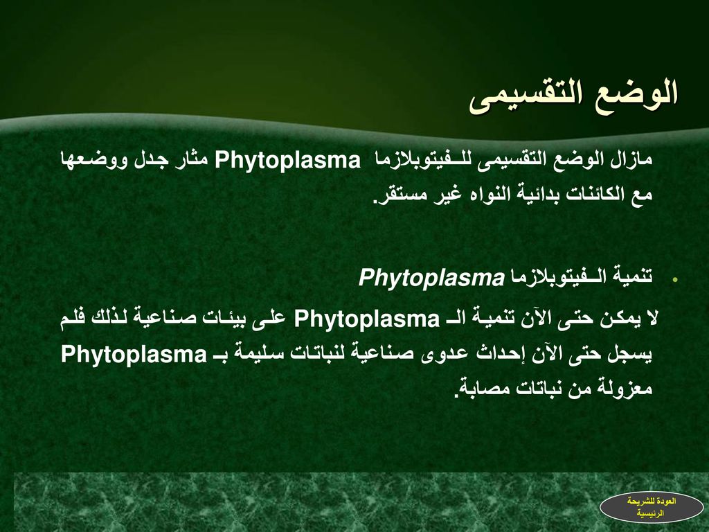 الوضع التقسيمى مازال الوضع التقسيمى للــفيتوبلازما Phytoplasma مثار جدل ووضعها مع الكائنات بدائية النواه غير مستقر.