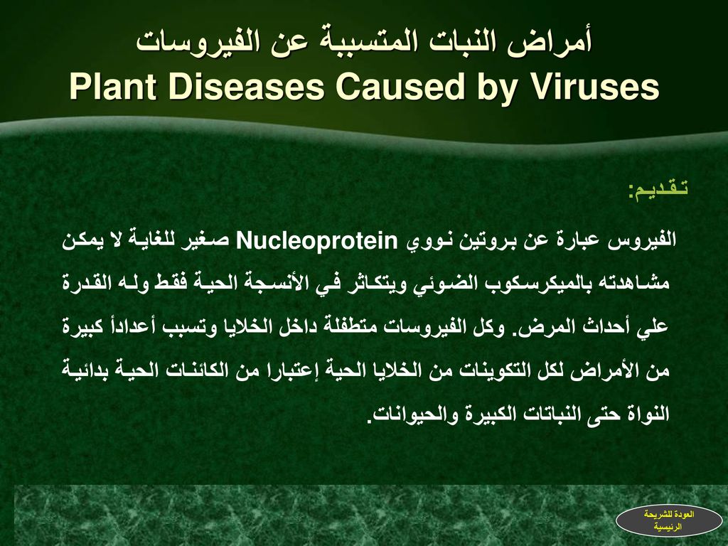 أمراض النبات المتسببة عن الفيروسات Plant Diseases Caused by Viruses