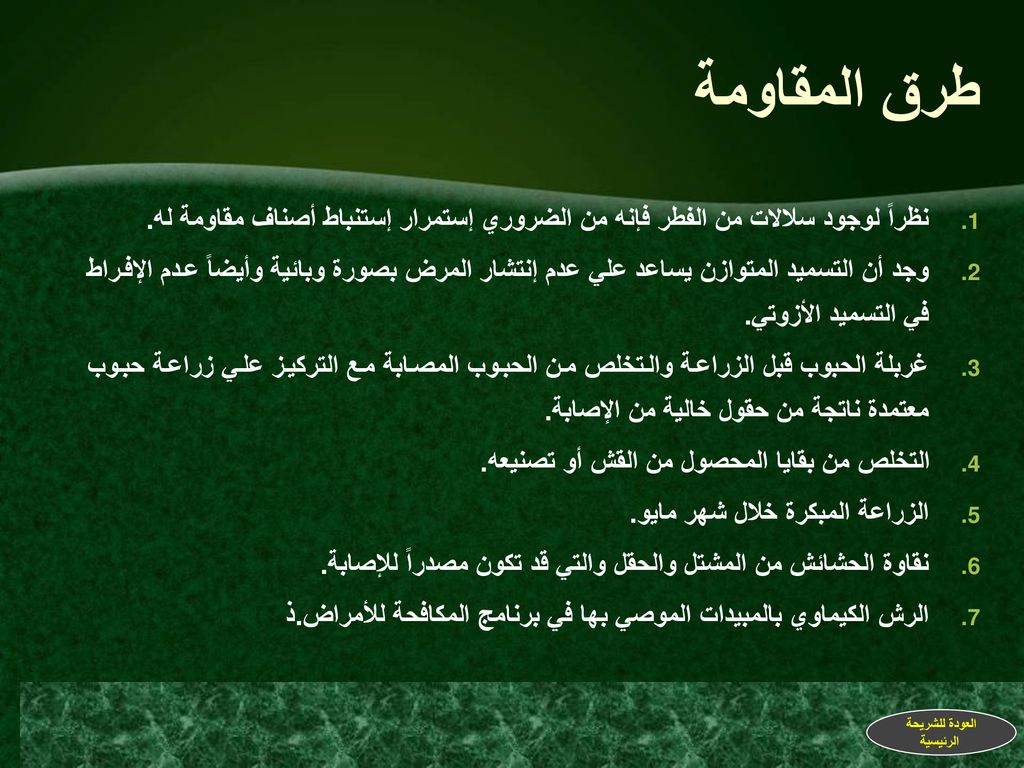 طرق المقاومة نظراً لوجود سلالات من الفطر فإنه من الضروري إستمرار إستنباط أصناف مقاومة له.