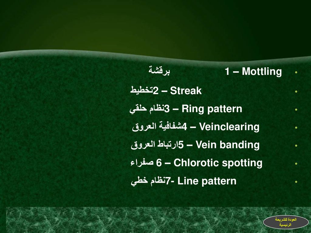 3 – Ring pattern نظام حلقي 4 – Veinclearing شفافية العروق