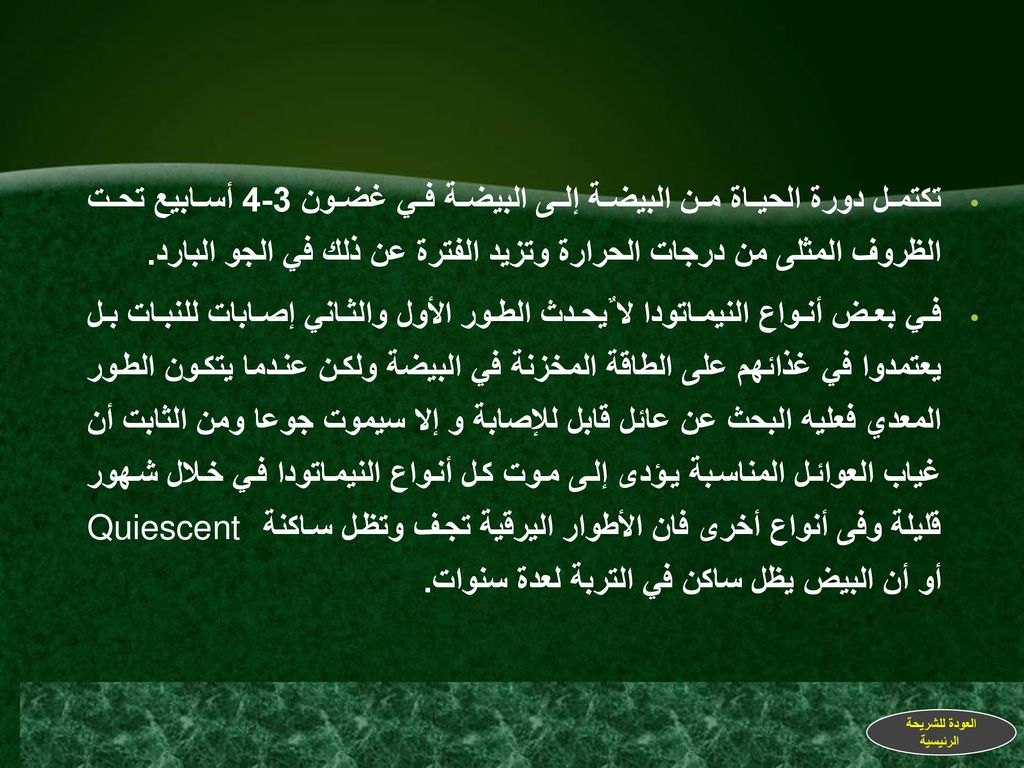 تكتمل دورة الحياة من البيضة إلى البيضة في غضون 3-4 أسابيع تحت الظروف المثلى من درجات الحرارة وتزيد الفترة عن ذلك في الجو البارد.