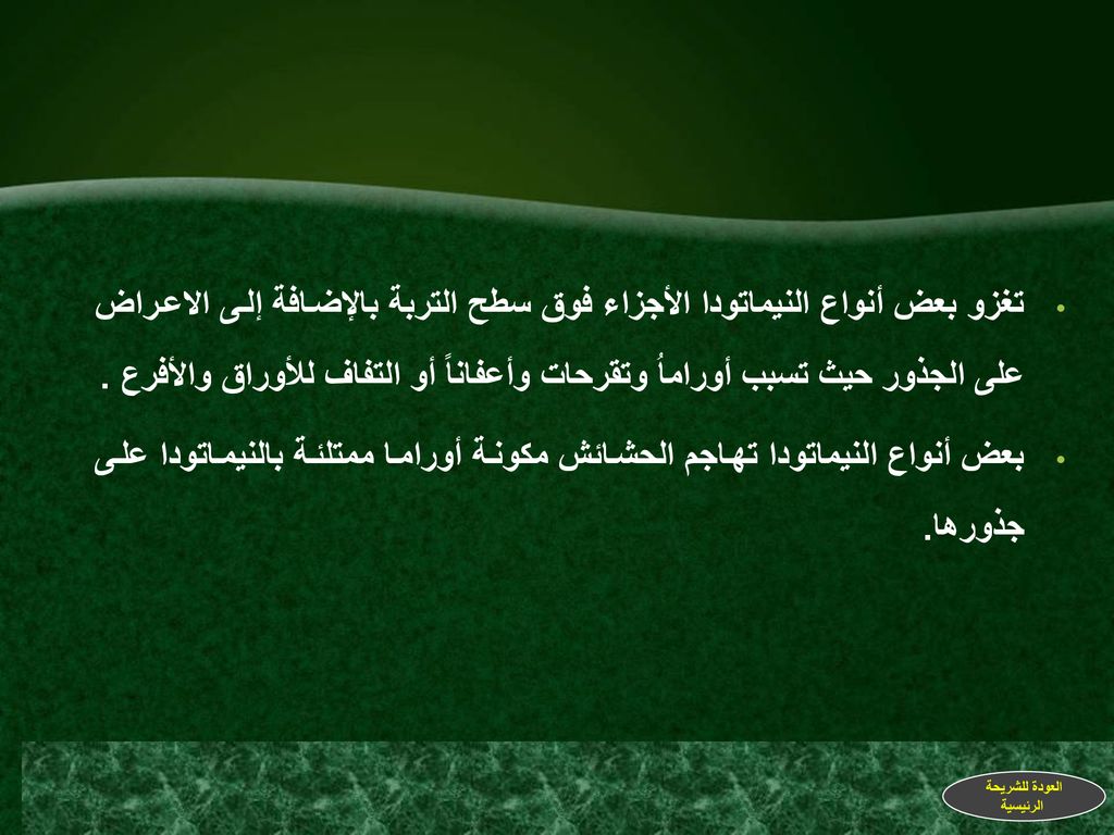 تغزو بعض أنواع النيماتودا الأجزاء فوق سطح التربة بالإضافة إلى الاعراض على الجذور حيث تسبب أوراماُ وتقرحات وأعفاناً أو التفاف للأوراق والأفرع .