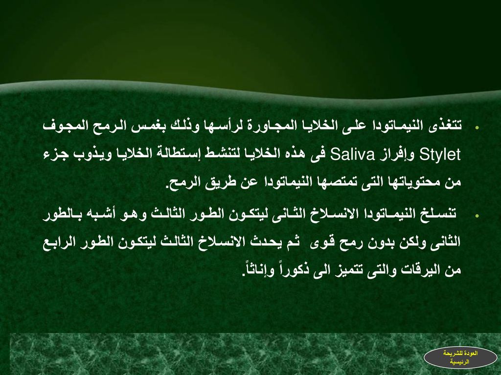 تتغذى النيماتودا على الخلايا المجاورة لرأسها وذلك بغمس الرمح المجوف Stylet وإفراز Saliva فى هذه الخلايا لتنشط إستطالة الخلايا ويذوب جزء من محتوياتها التى تمتصها النيماتودا عن طريق الرمح.