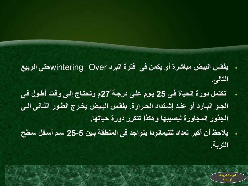 يفقس البيض مباشرة أو يكمن فى فترة البرد wintering Overحتى الربيع التالى.