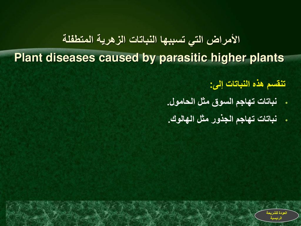 الأمراض التي تسببها النباتات الزهرية المتطفلة Plant diseases caused by parasitic higher plants