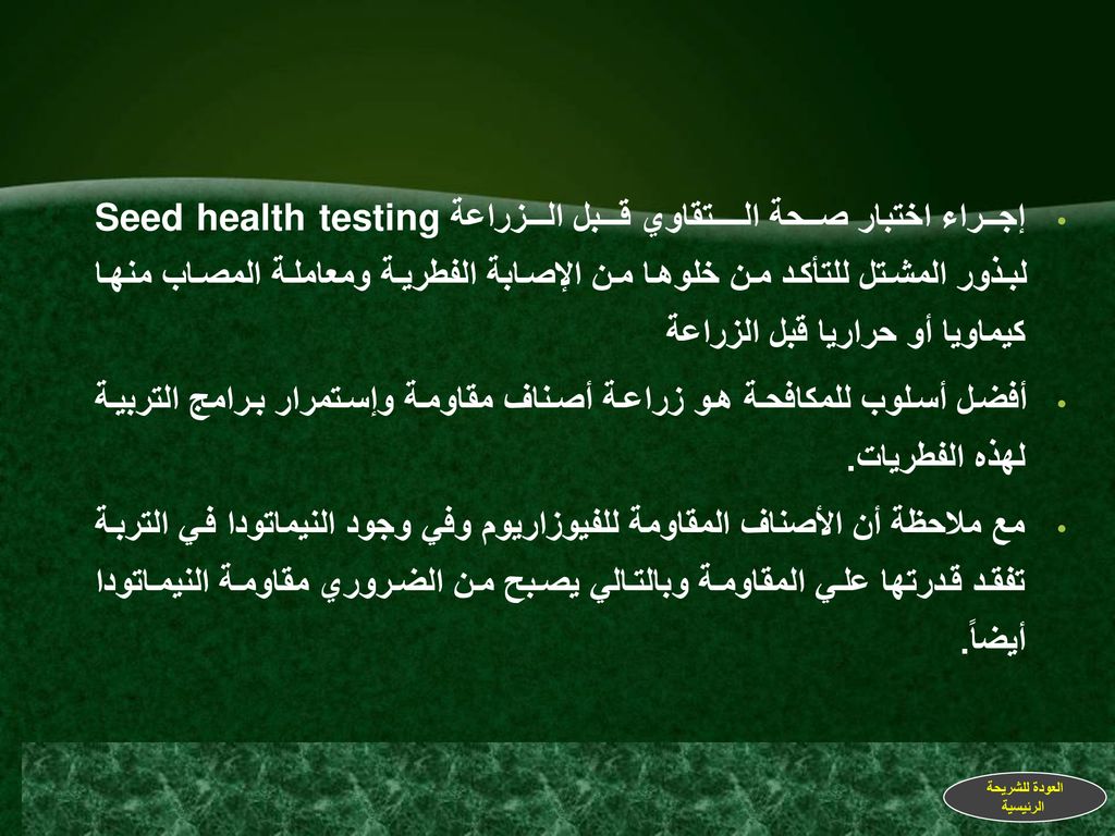 إجــراء اختبار صــحة الــــتقاوي قــبل الــزراعة Seed health testing لبذور المشتل للتأكد من خلوها من الإصابة الفطرية ومعاملة المصاب منها كيماويا أو حراريا قبل الزراعة