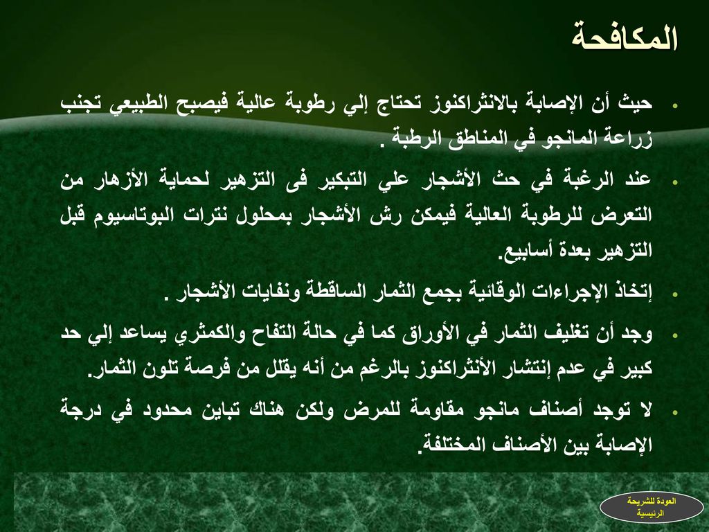 المكافحة حيث أن الإصابة بالانثراكنوز تحتاج إلي رطوبة عالية فيصبح الطبيعي تجنب زراعة المانجو في المناطق الرطبة .