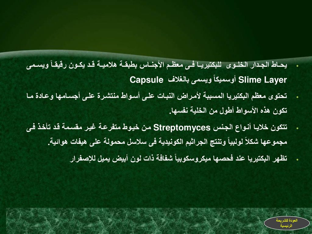 تظهر البكتيريا عند فحصها ميكروسكوبياً شفافة ذات لون أبيض يميل للإصفرار