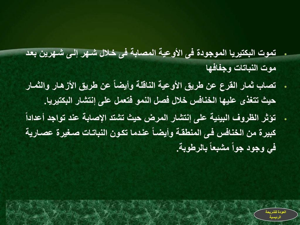 تموت البكتيريا الموجودة فى الأوعية المصابة فى خلال شهر إلى شهرين بعد موت النباتات وجفافها